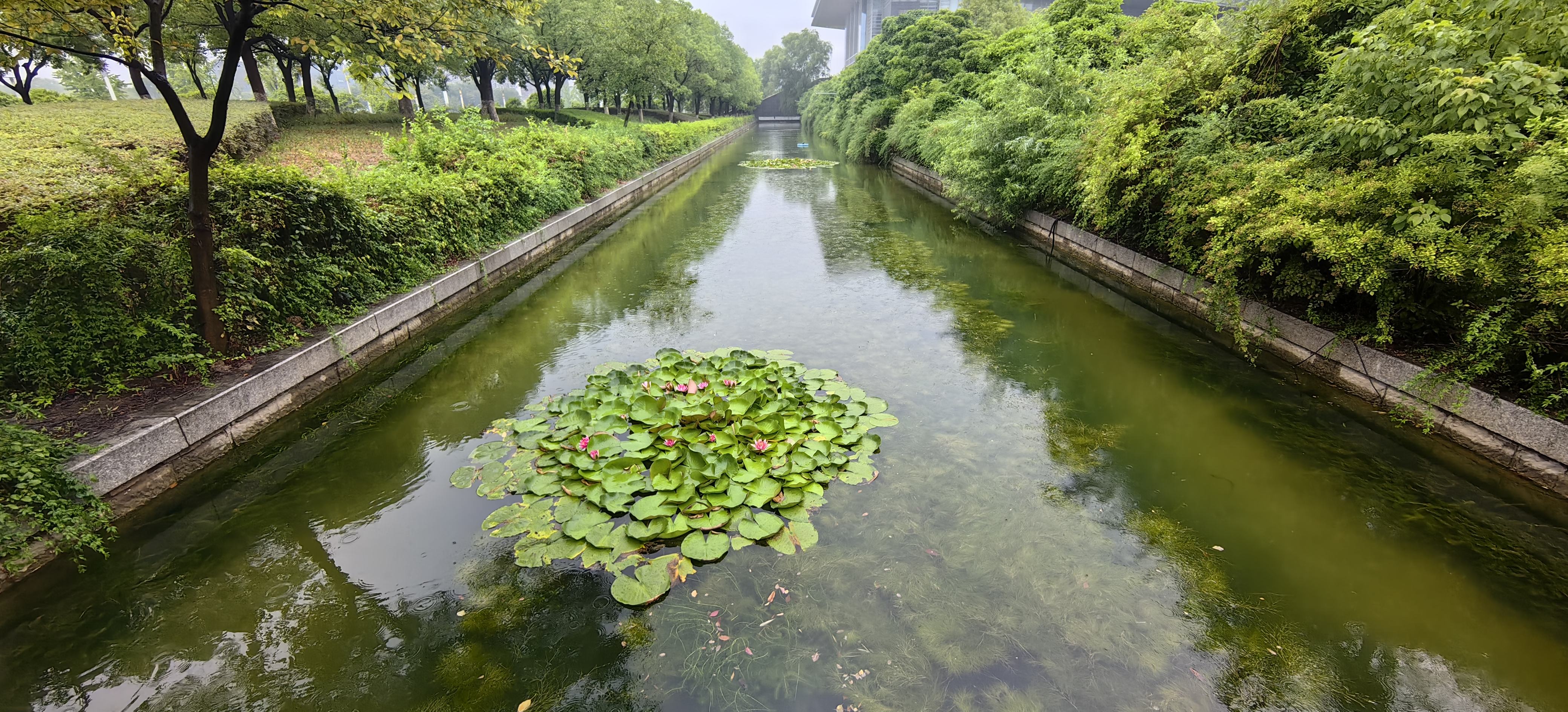 徐州市政府护城河水质哔咔漫画